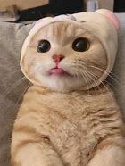 手机号码空号如何重新激活?